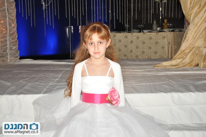 תמונה גדולה